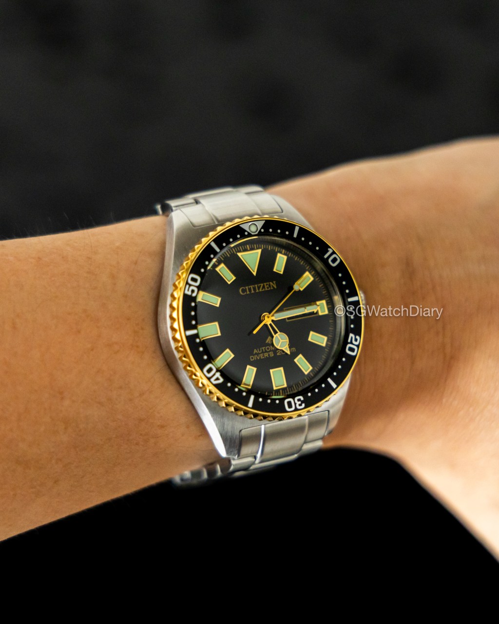 CITIZEN Promaster Marine NY0125-83E Automatic Diver – Solid build, Kanji day, 200m Water resistant, Obscene strong&nbsp;lume